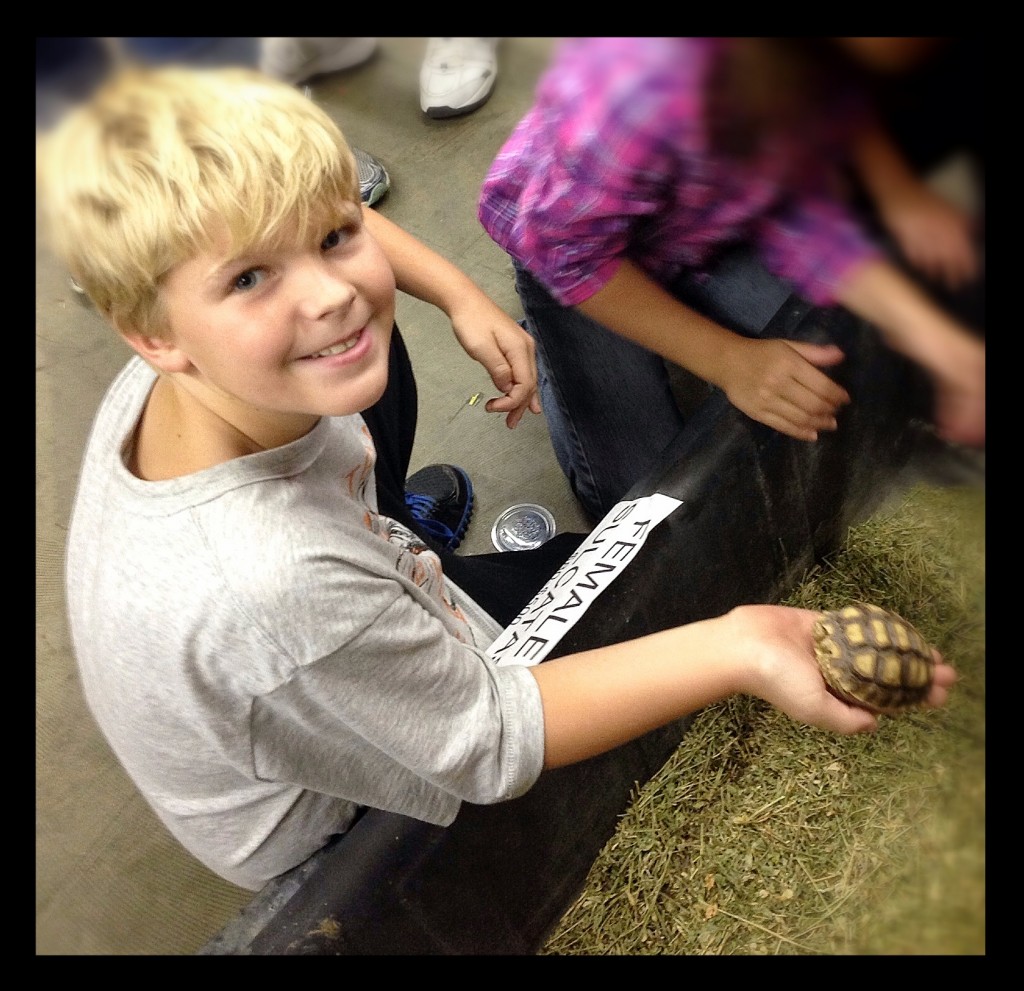 Keatyn enjoying holding turtles.